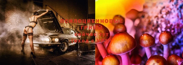 mdpv Аркадак