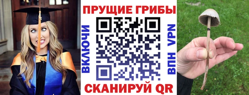 blacksprut Кинель Галлюциногенные грибы мухоморы
