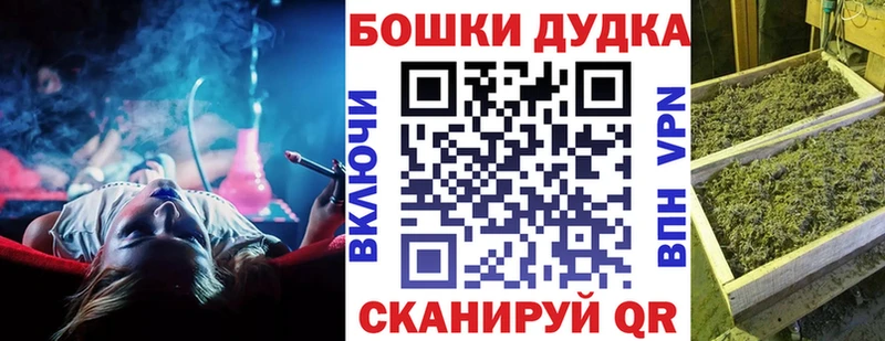 Бошки Шишки семена Кинель
